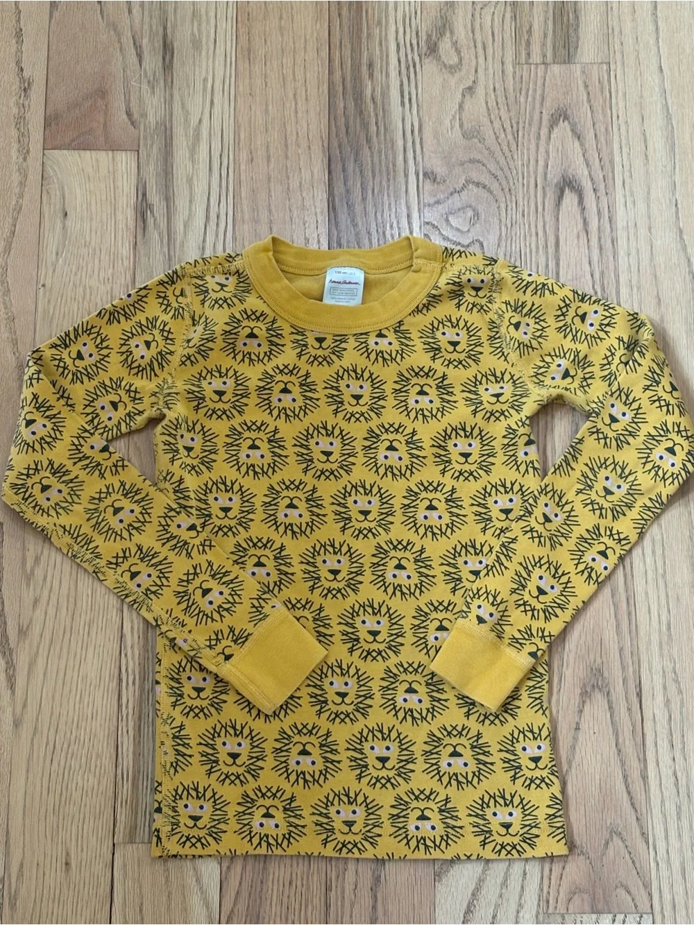 Hanna Andersson Lion Pajamas